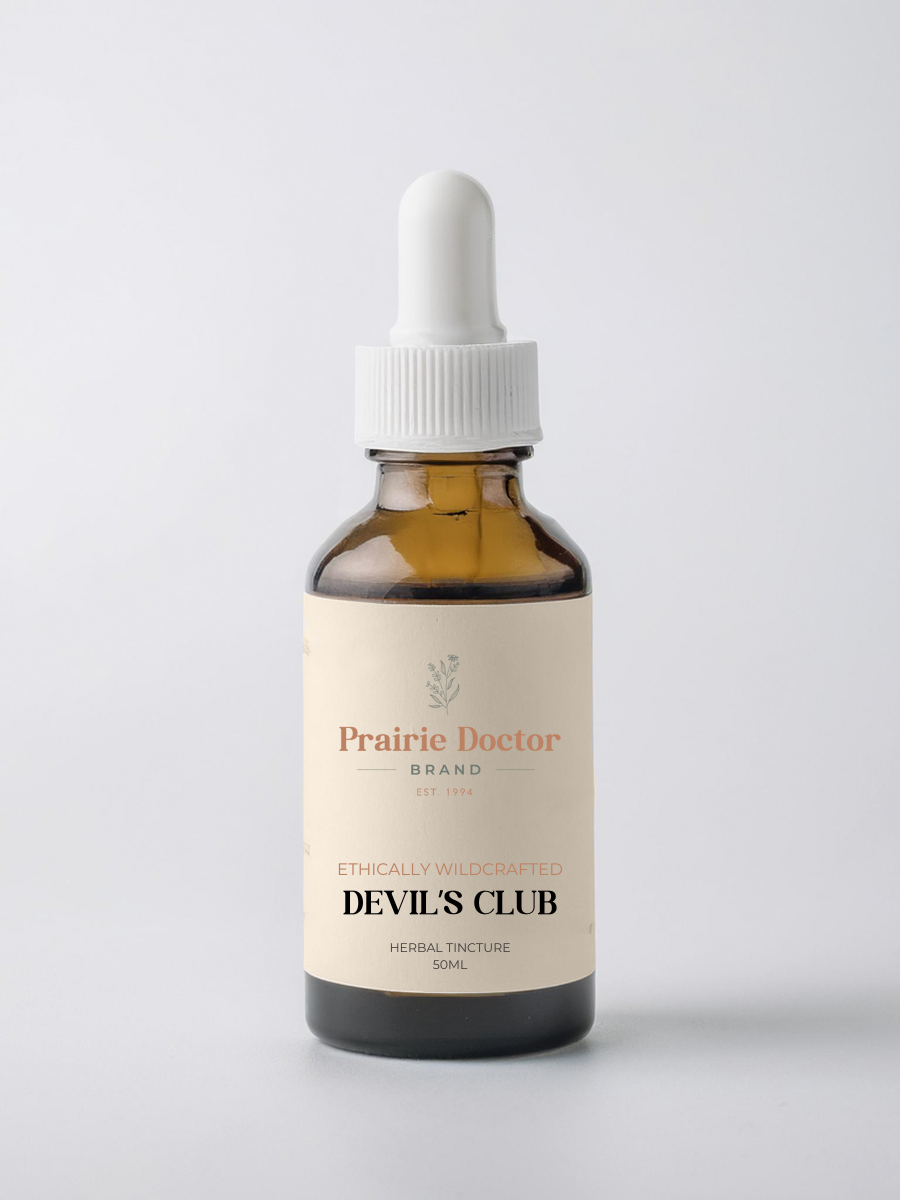 Our Devil's Club Herbal Tincture is handcrafted using ethically wildcrafted Pacific Northwest Devil's Club root and bark. Devil's Club is deeply revered in Indigenous healing practices for its powerful adaptogenic and restorative properties.