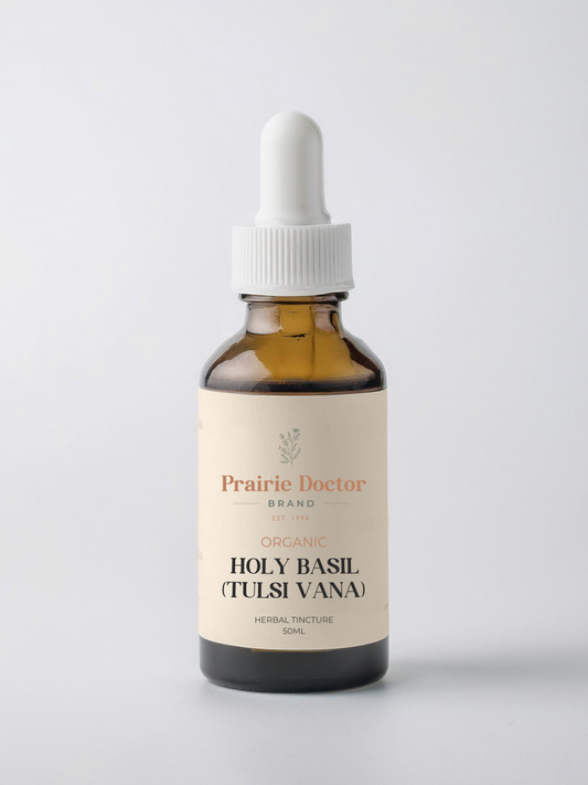 Our Holy Basil (Tulsi Vana) Herbal Tincture is handcrafted using organic Tulsi Rama leaves. Holy Basil is a sacred herb in Ayurveda that is deeply cherished for its adaptogenic, calming and uplifting properties. 