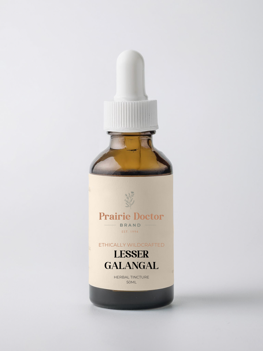 Our ethically wildcrafted Lesser Galangal herbal tincture is crafted from sustainably sourced Alpinia officinarum rhizome. Traditionally valued in herbalism and culinary traditions, Lesser Galangal has been cherished for its warming, aromatic qualities and is often used to support healthy digestion and overall vitality.