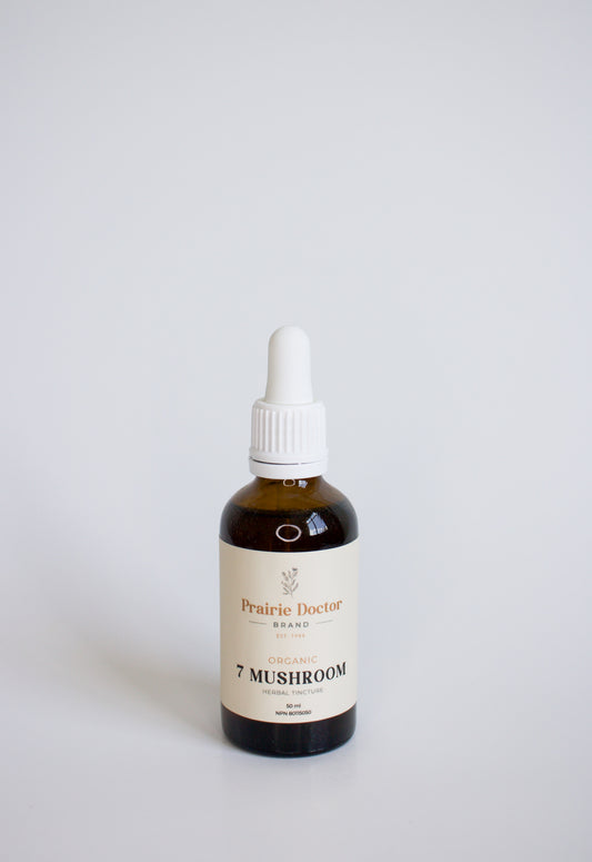 Our organic Seven Mushroom tincture can be used as a s﻿ource of fungal polysaccharides with immunomodulating properties. 